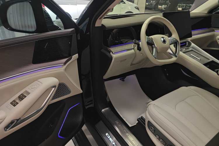 Denza N9 2025 car image #16