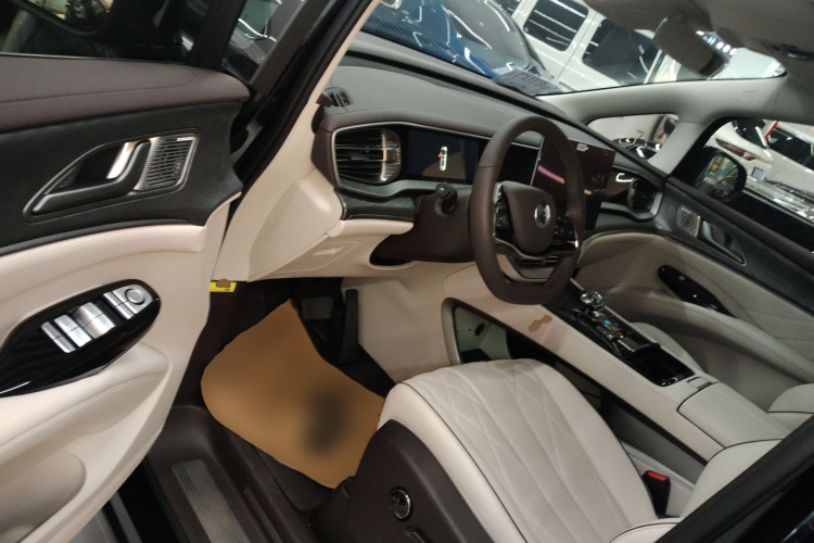 Denza D9 2024 car image #16