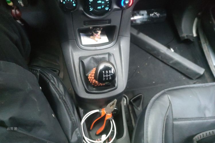 Ford Fiesta 2015 car image #16