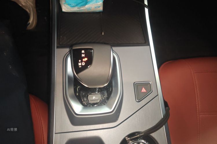 Dashing 2025 car image #16