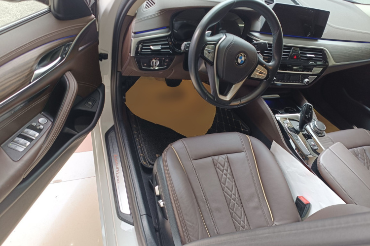 BMW 5 Series 2020 car image #16