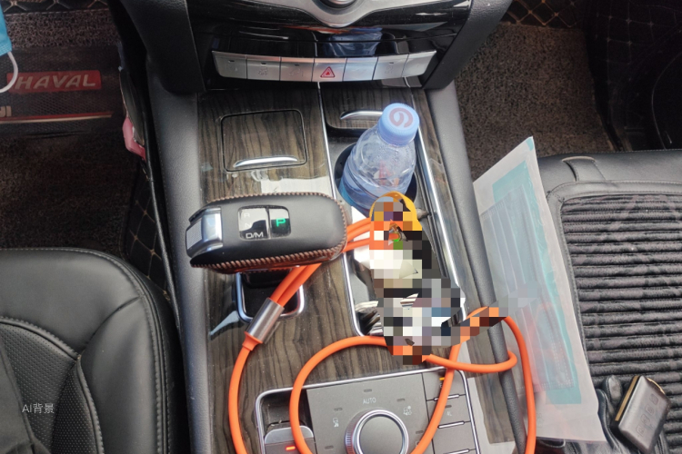 Haval H9 2019 imagem de carro #16