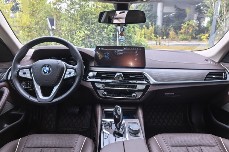 BMW 5 Series New Energy 2021 car image #16