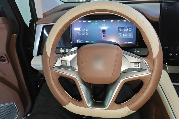 BYD Xia 2025 imagen de coche #16