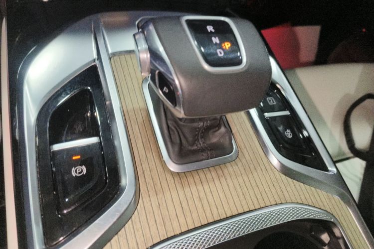 HongQi E-HS9 2023 car image #16