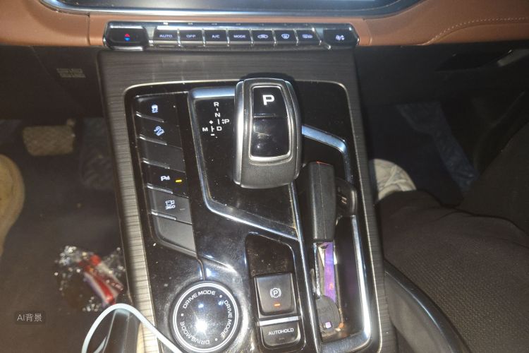 GEELY Boyue 2019 immagine di auto #16