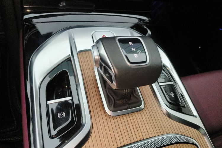 HongQi E-HS9 2023 imagem de carro #16