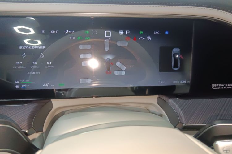 Denza Z9 2024 immagine di auto #16