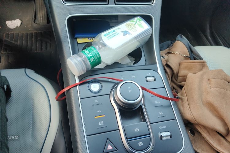 比亚迪 驱逐舰05 2024 汽车图片 #16