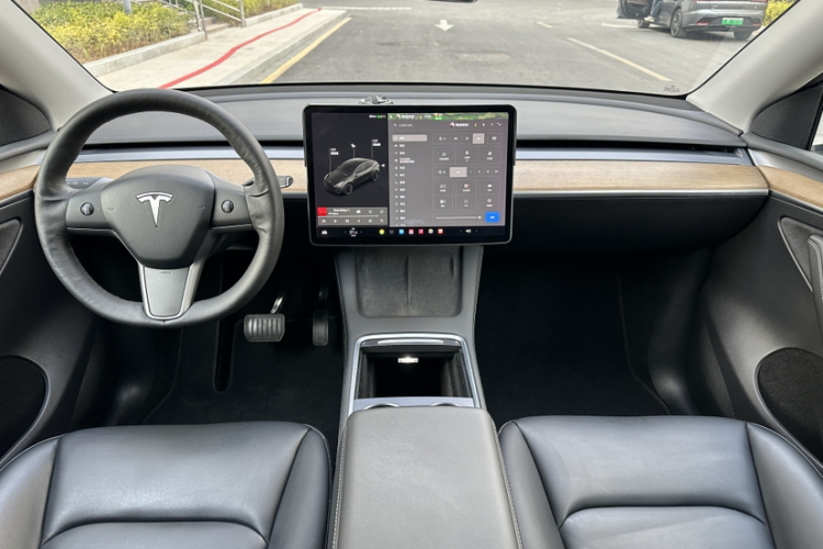 Tesla Model Y 2021 car image #16