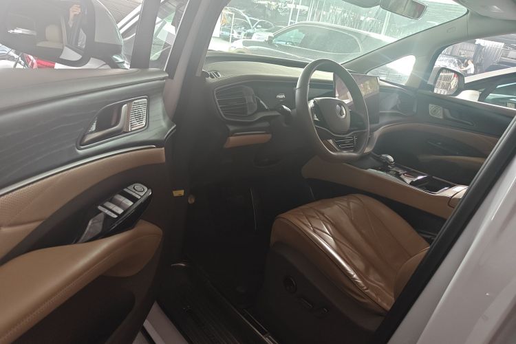 Denza D9 2023 immagine di auto #16