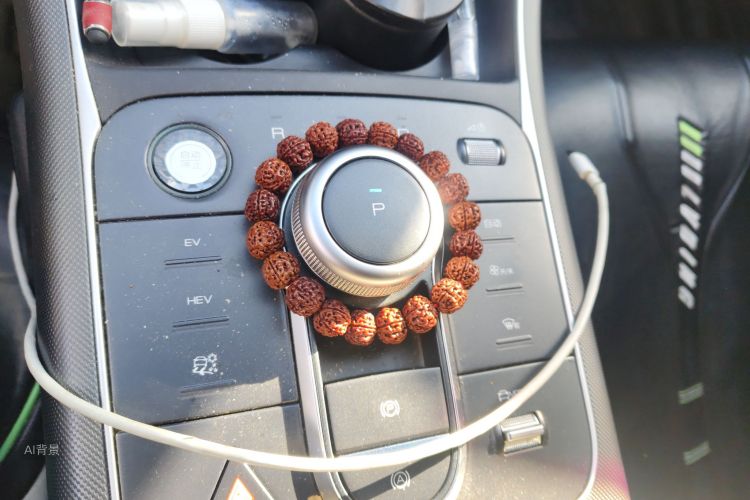 BYD Destroyer 05 2024 imagem de carro #16