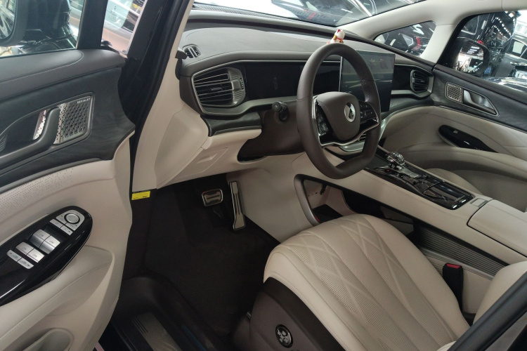 Denza D9 2025 car image #16
