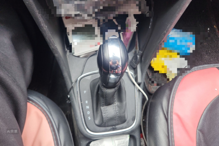 Polo 2019 car image #16