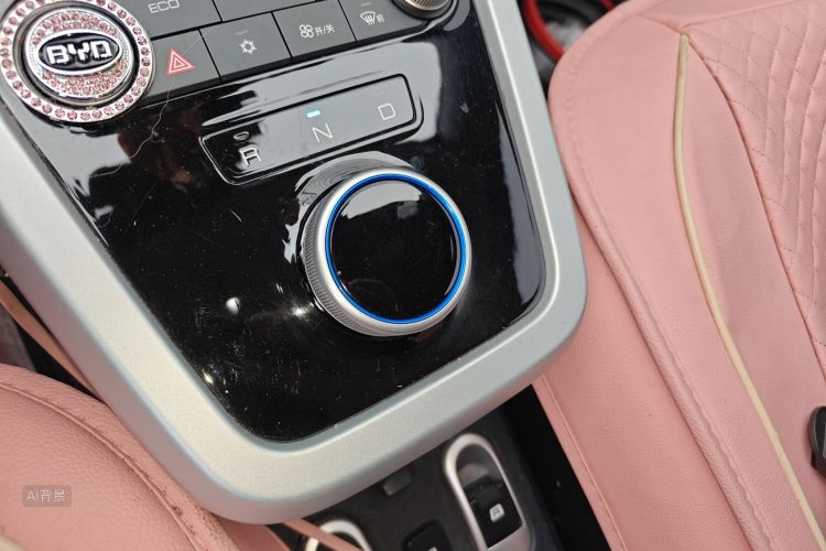 BYD e1 2020 car image #16