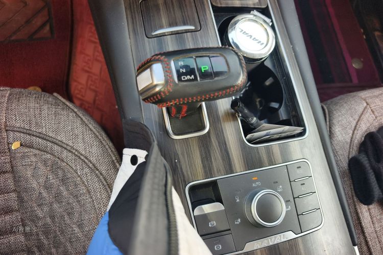 Haval H9 2020 #16 Haval H9 2020 صورة سيارة #16