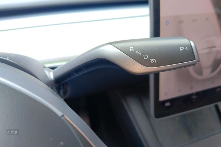 Tesla Model Y 2024 car image #16