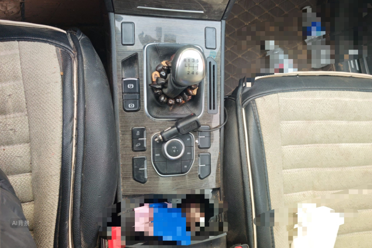 Haval H6 Coupe 2016 car image #16