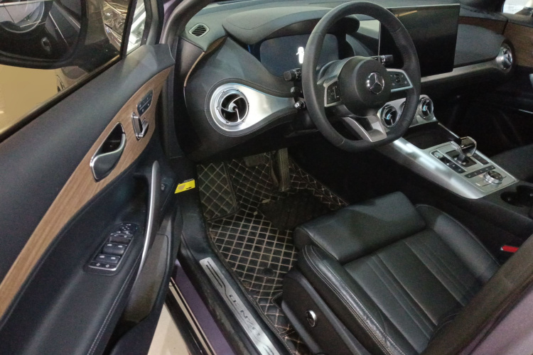 Denza X 2021 изображение автомобиля #16