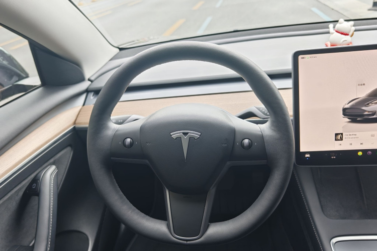 特斯拉 Model 3 2023 汽车图片 #16