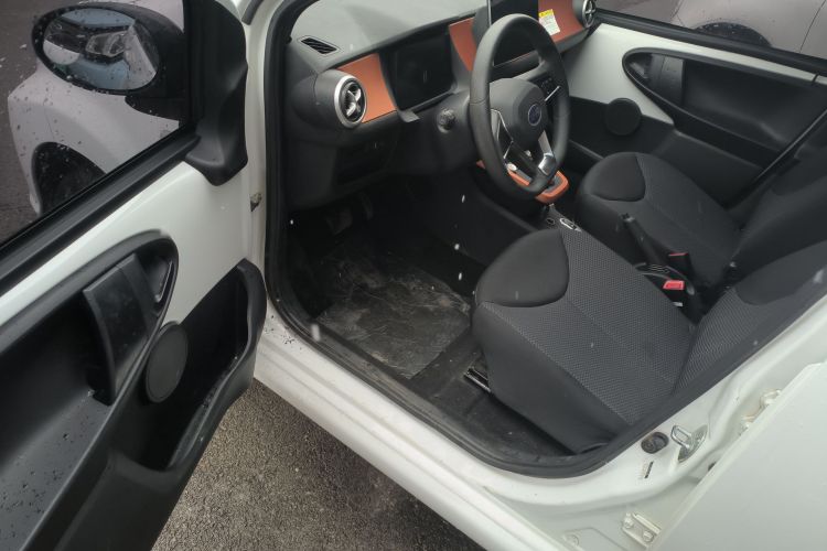 BYD e1 2019 #16 BYD e1 2019 car image #16