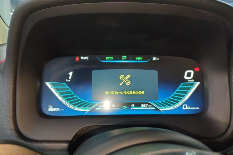 BYD Tang New Energy 2019 car image #16