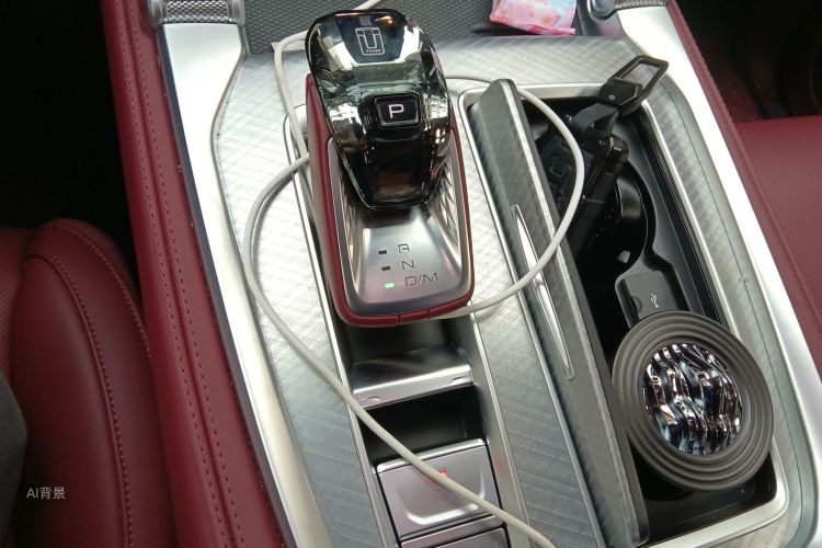 Tank 700 New Energy 2024 car image #16