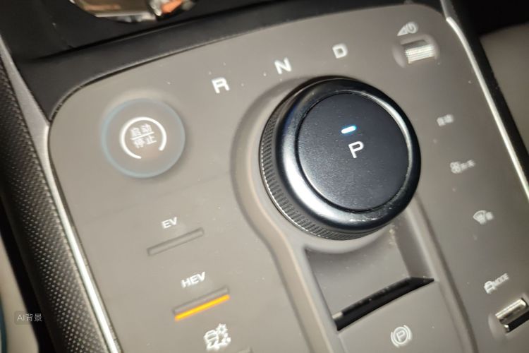 BYD Destroyer 05 2024 car image #16