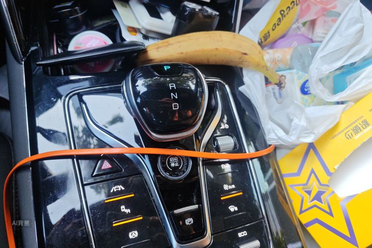 BYD Tang New Energy 2020 car image #16