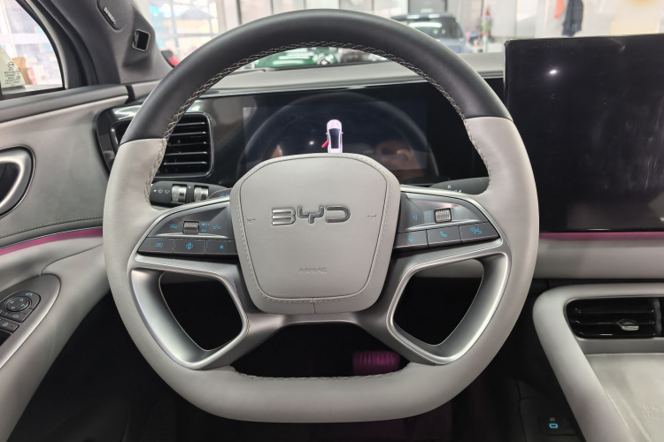 BYD Sea Lion 06 New Energy 2025 car image #16