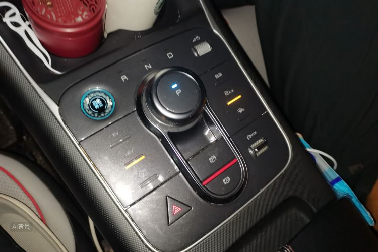 BYD Destroyer 05 2023 car image #16