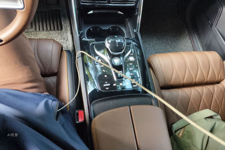 BYD Tang New Energy 2021 car image #16