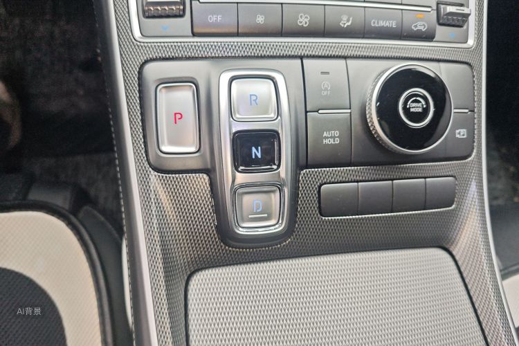 Hyundai Santa Fe 2022 imagen de coche #16