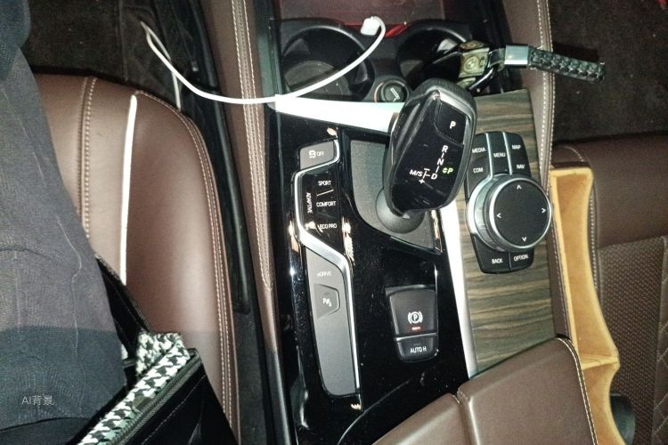 BMW 5 Series New Energy 2020 car image #16