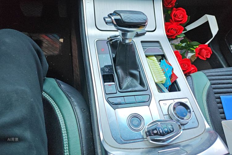 Jetour X70 2020 immagine di auto #16