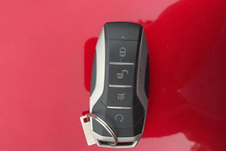 BYD Tang New Energy 2022 car image #16