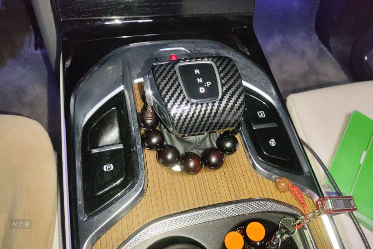 HongQi E-HS9 2022 car image #16