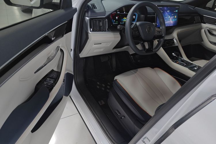 BYD Song Plus New Energy 2022 car image #16