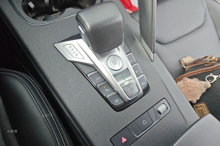 BYD Song Pro 2020 car image #16