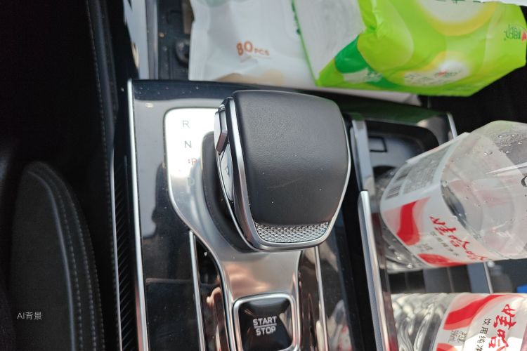 HongQi H9 2024 car image #16