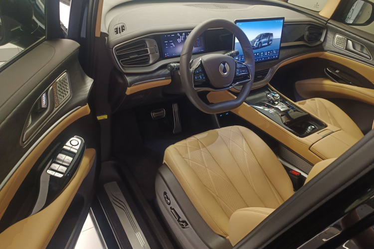 Denza D9 2025 immagine di auto #16