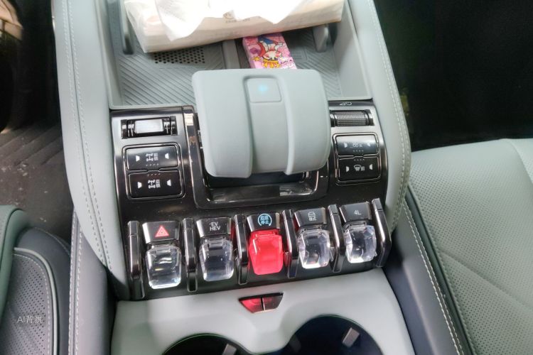 FangChengBao Leopard 5 2025 car image #16