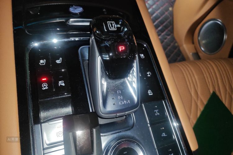 Tank 500 2023 immagine di auto #16