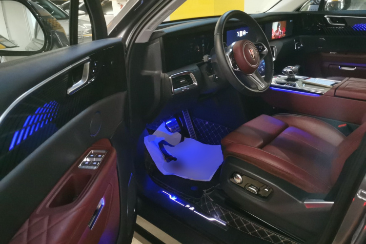 HongQi E-HS9 2023 car image #16