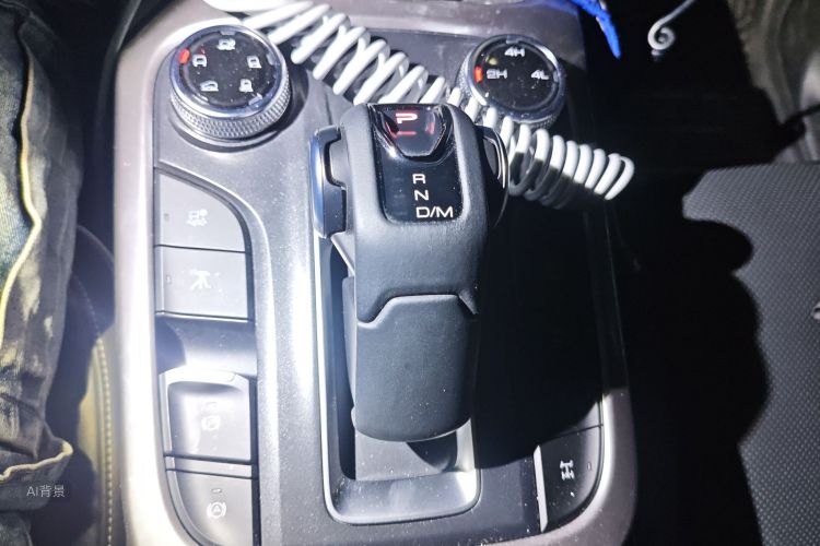 Tank 300 2021 immagine di auto #16