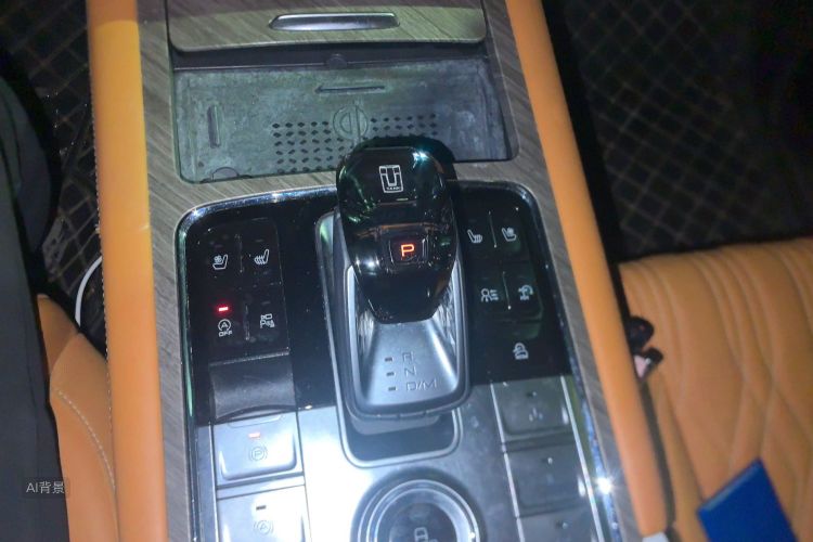 Tank 500 2022 immagine di auto #16