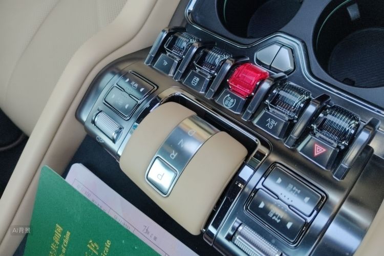 FangChengBao Leopard 8 2024 immagine di auto #16