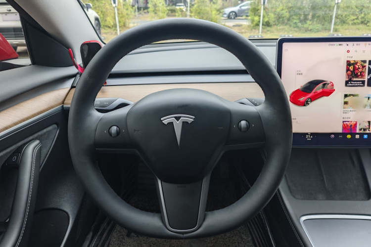 特斯拉 Model 3 2021 汽车图片 #16