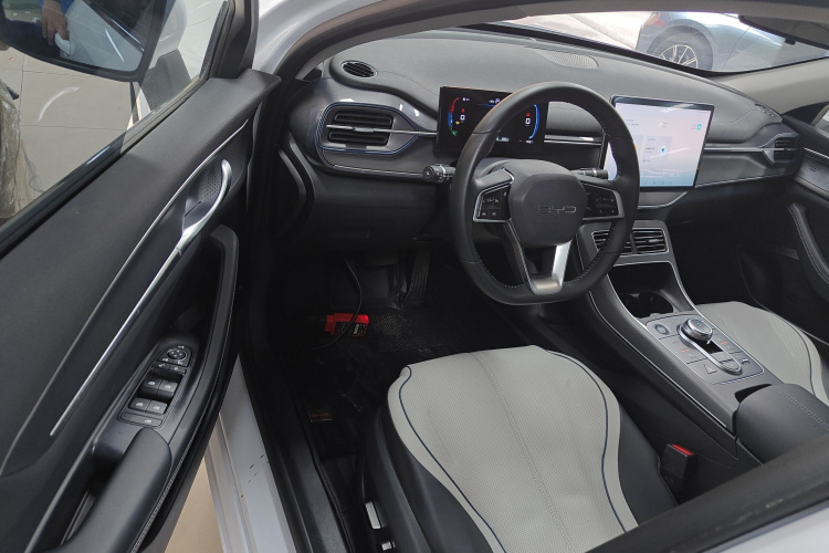 BYD Destroyer 05 2023 imagen de coche #16