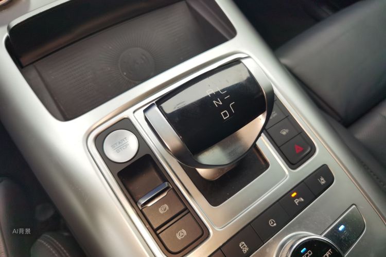 Denza X 2021 immagine di auto #16